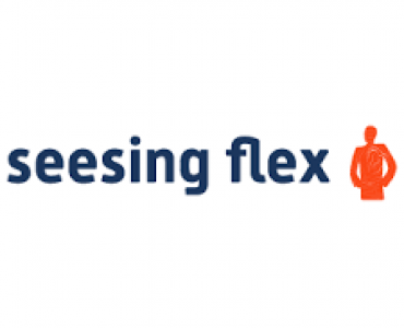 Logo Seesing Flex